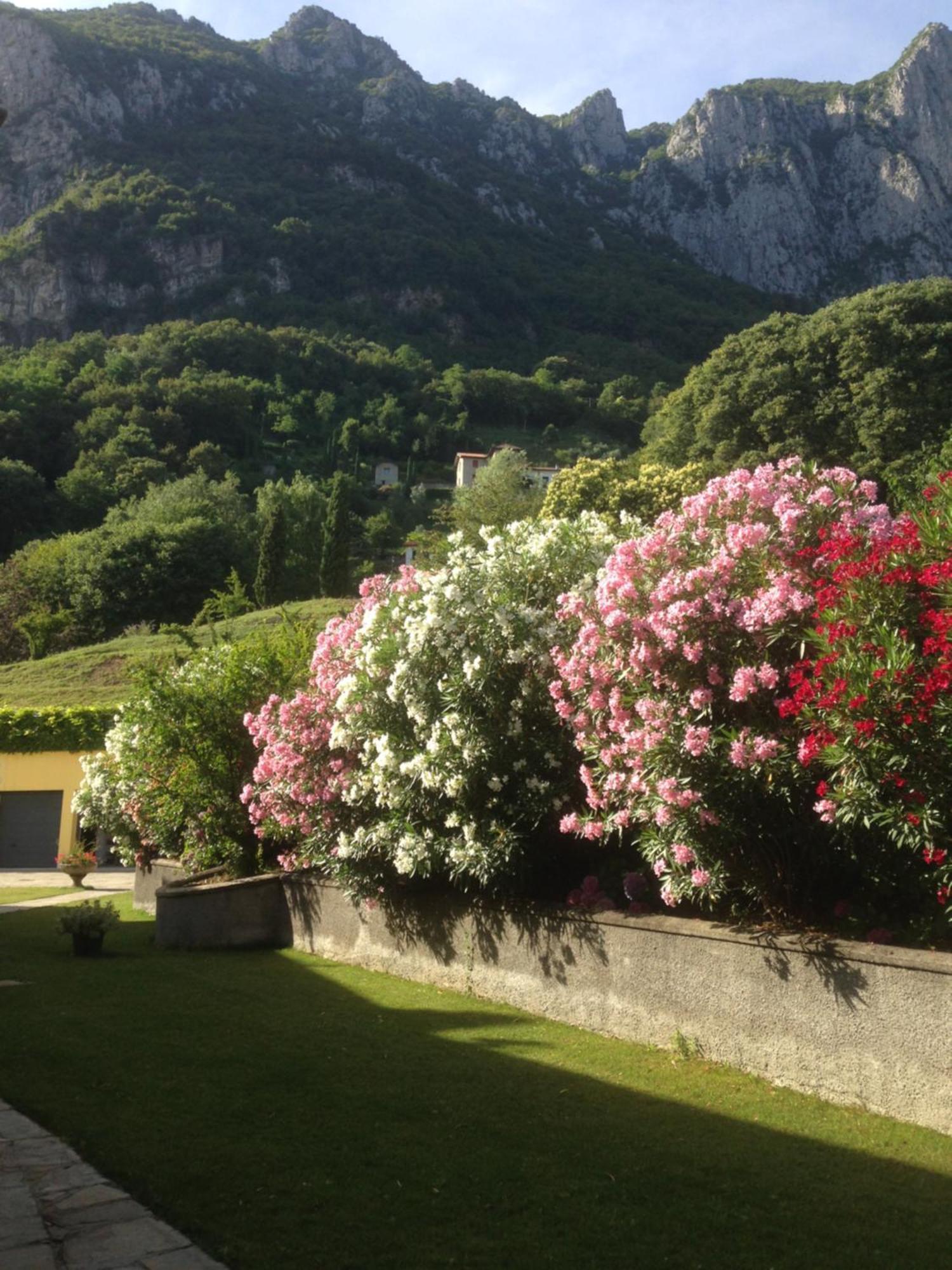 Montebello Lake Lecco Exterior photo